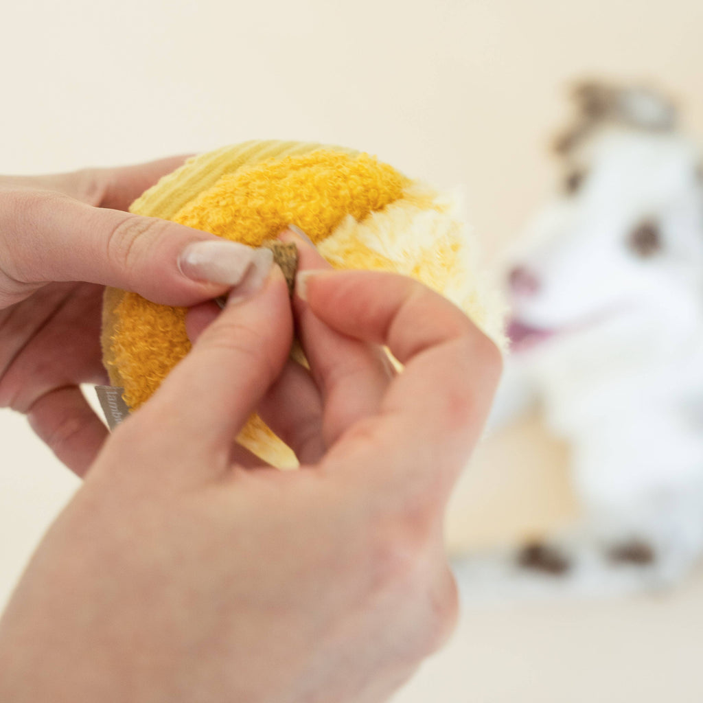 Beschäftigungsspielzeug für Hunde TOTO Small Grün – Lambwolf Collective