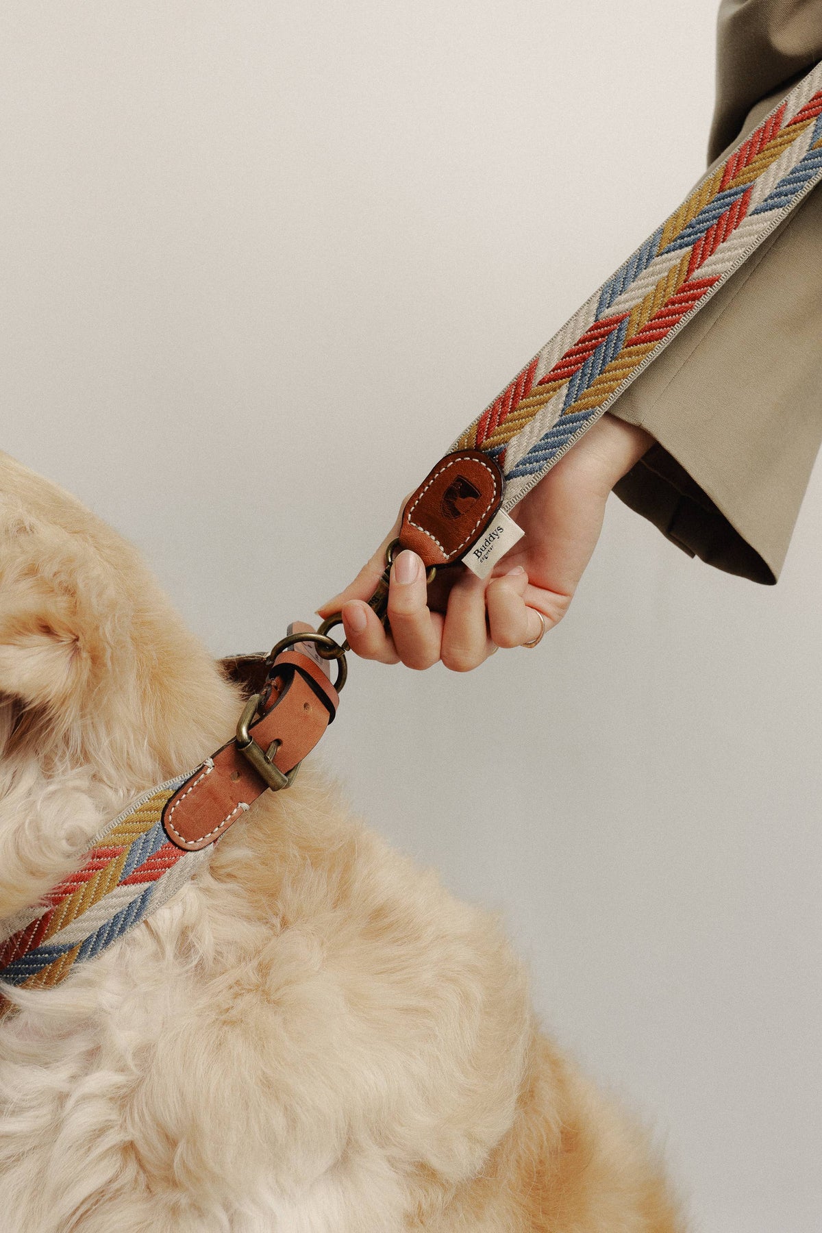 Collare Naya Puzzle – Buddys Dogwear
