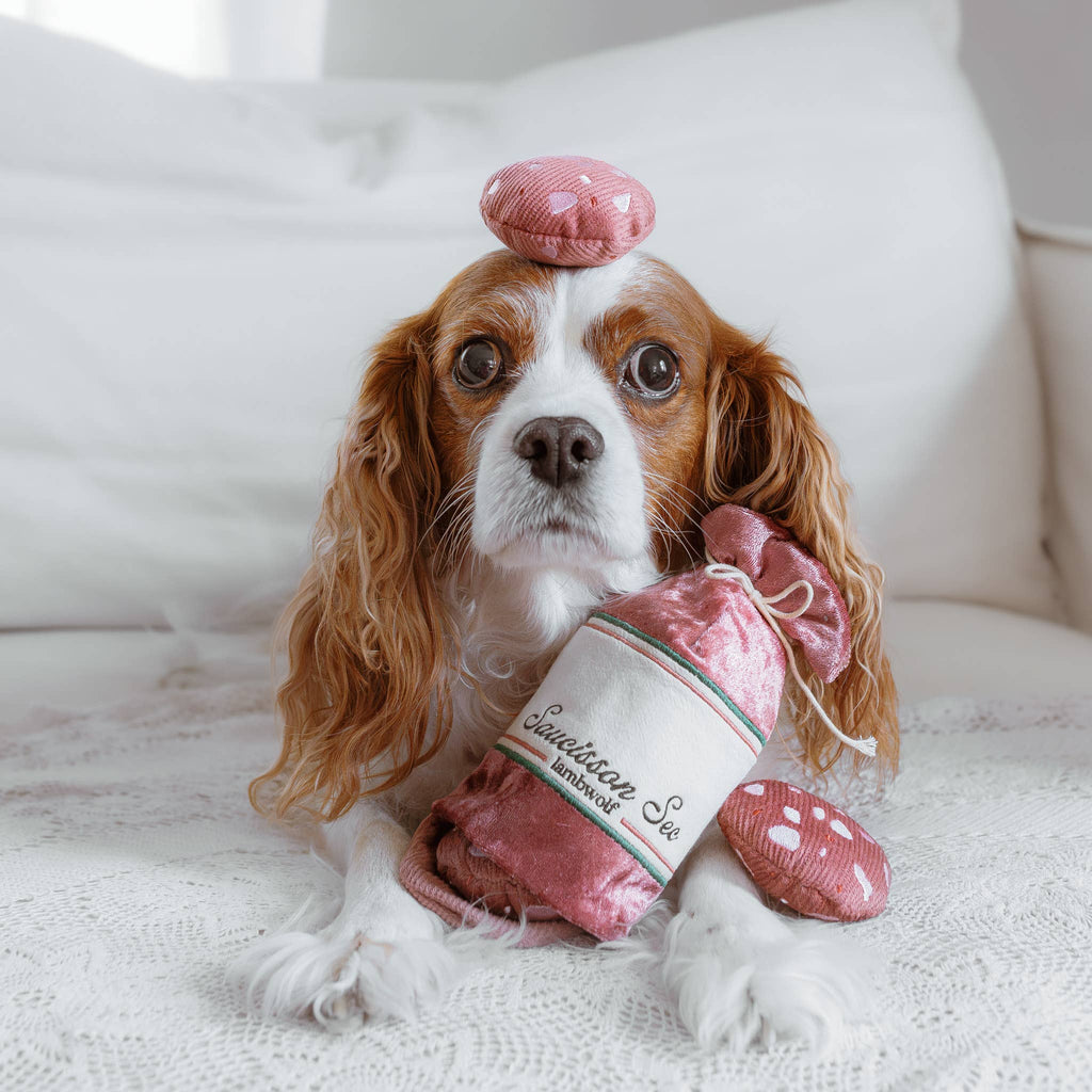 Beschäftigungsspielzeug für Hunde SAUCISSON SEC – Lambwolf Collective