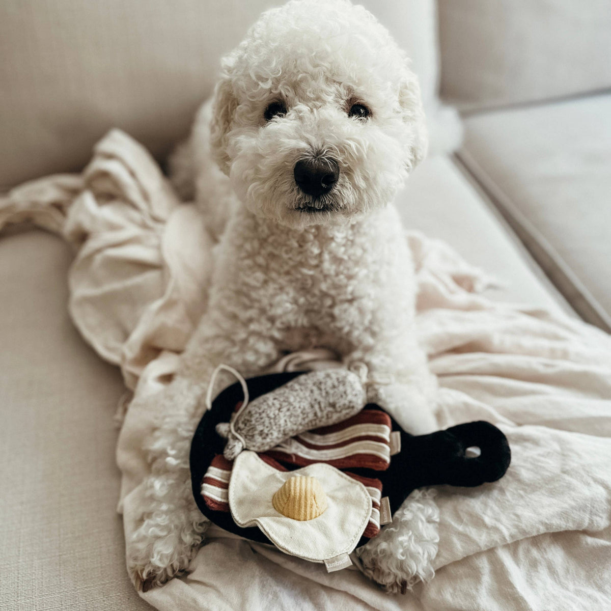 Bfast Set // ANREICHENDES HUNDESPIELZEUG
