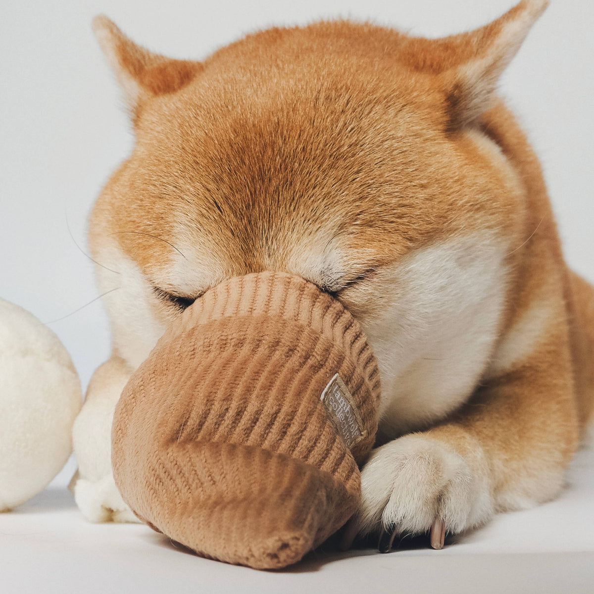 Gioco interattivo per cani ICE CREAM POP – Lambwolf Collective