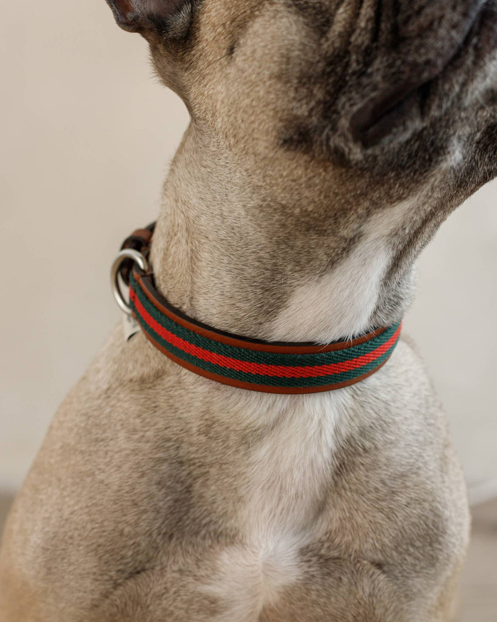 Collare Baseball Green – Buddys Dogwear
