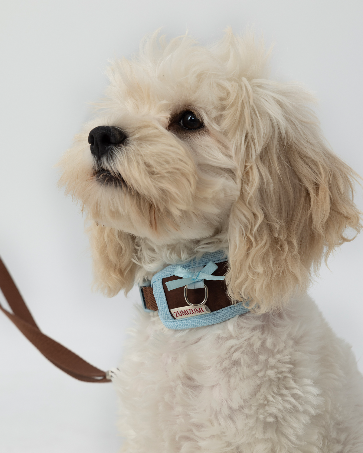 Halsband Chelsea Everyday Braun/Blau – Zumizumi