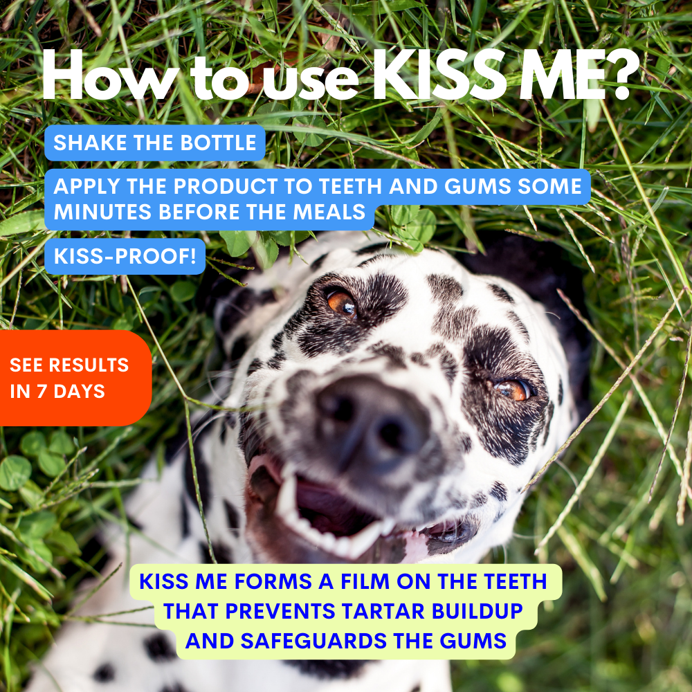 Spray dentale per cani Kiss Me 100 ml – JAMPY