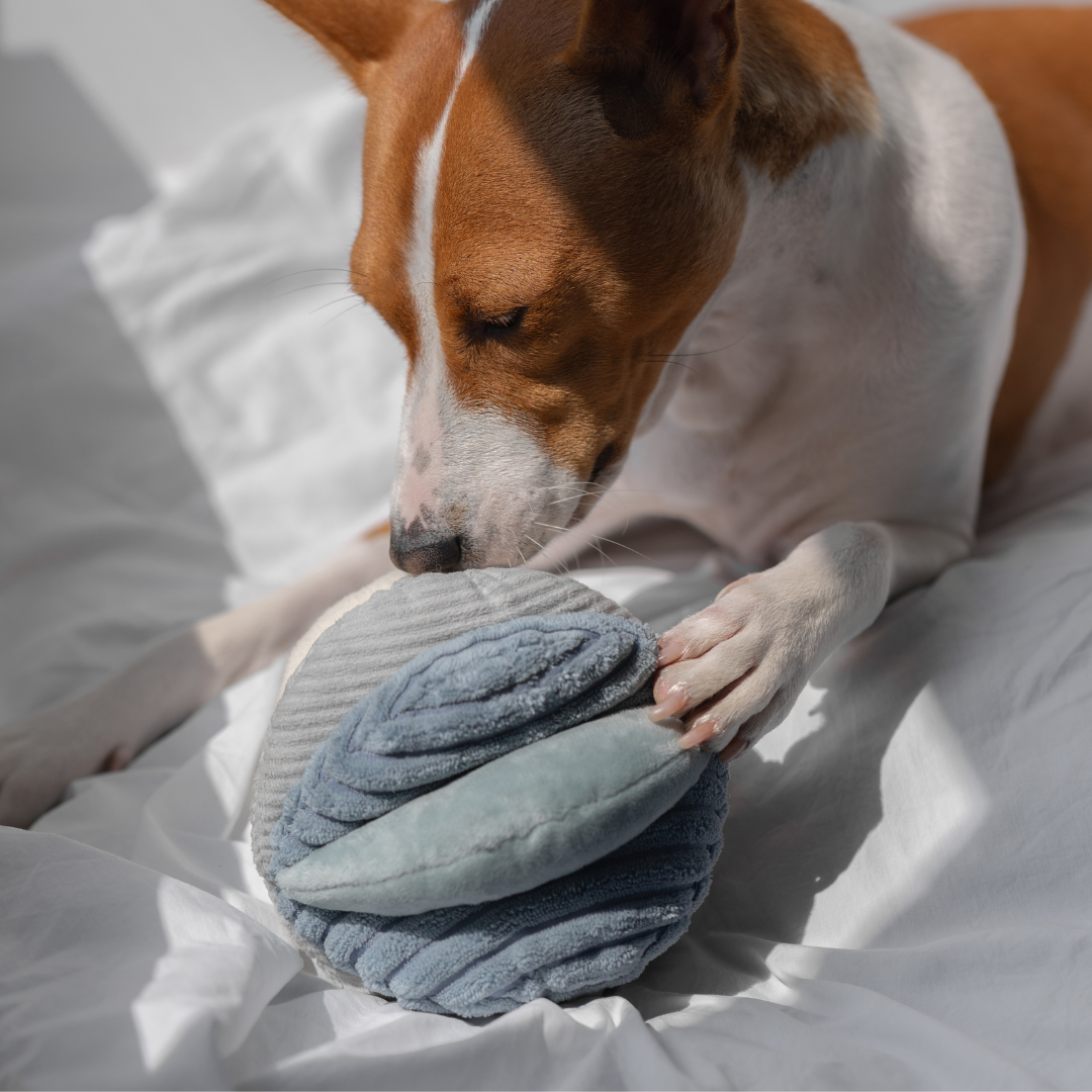 Gioco di arricchimento per cani TOTO Rosa – Lambwolf Collective
