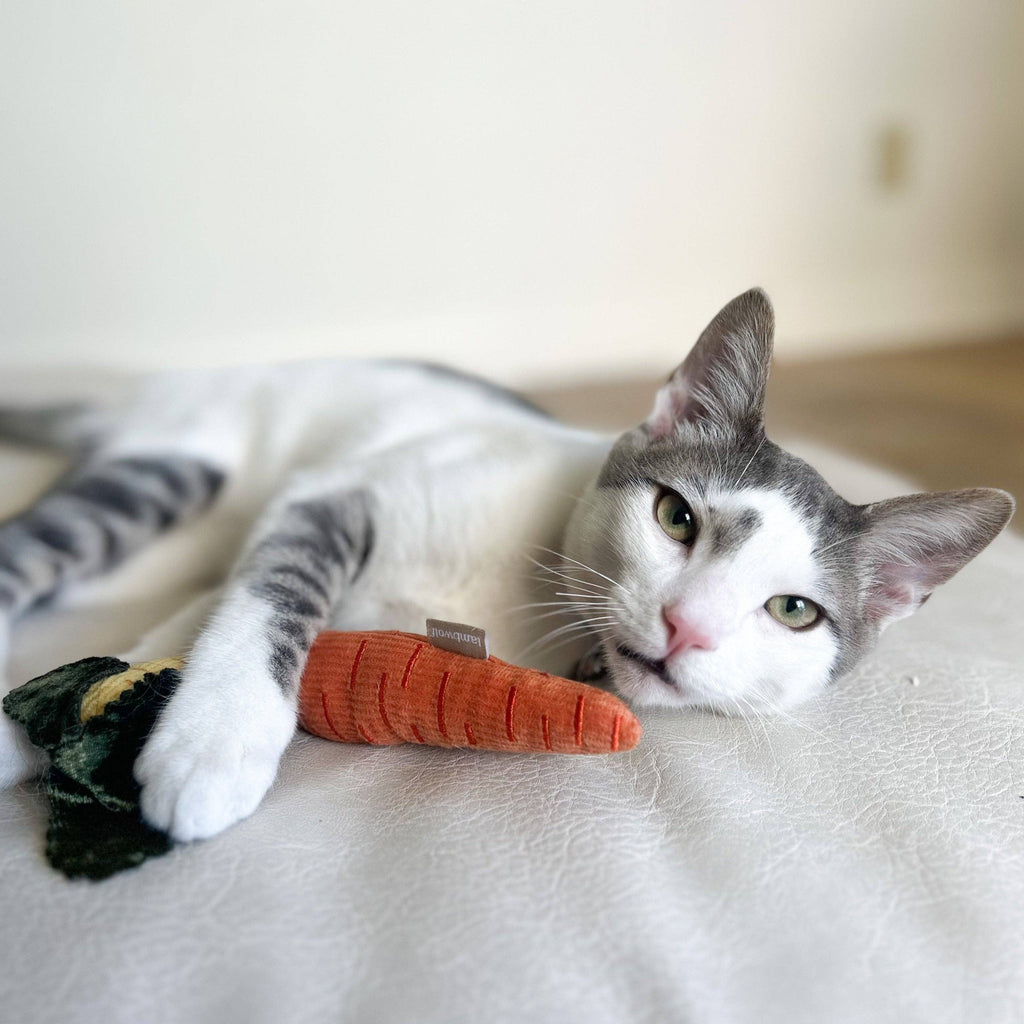 Gioco con erba gatta KITTY BABY CARROTS – Lambwolf Collective