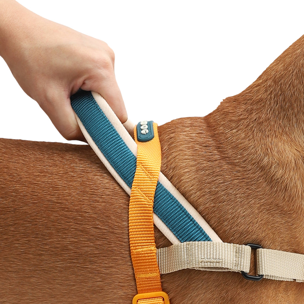Norwegisches Geschirr Softer-Walk Voyage