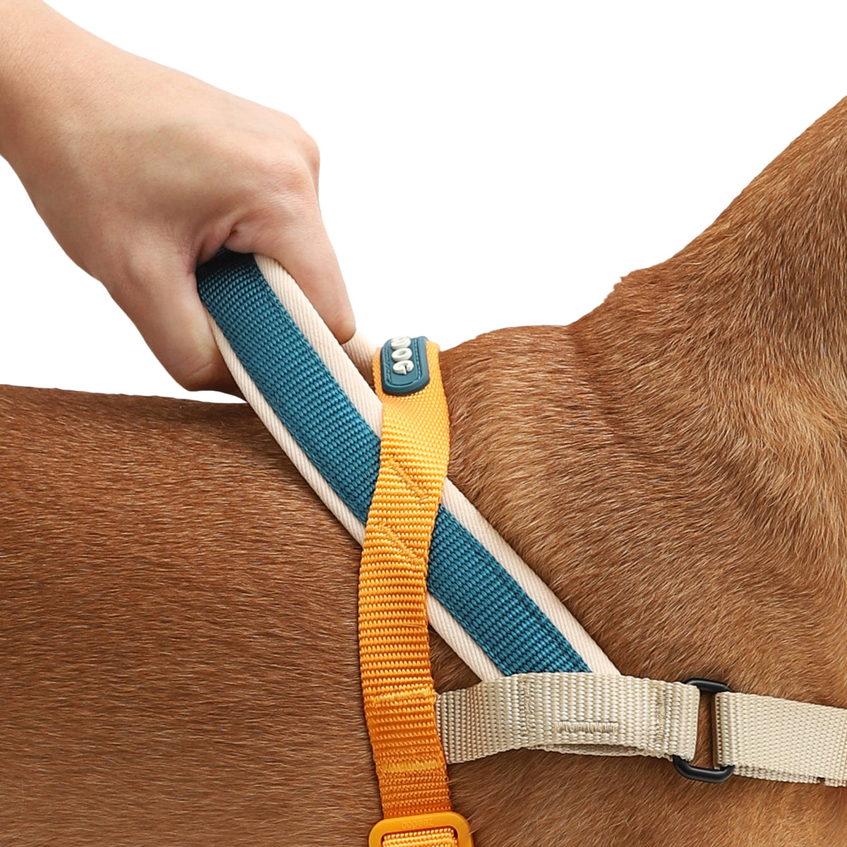 Pettorina norvegese Softer-Walk Voyage – Zee.Dog