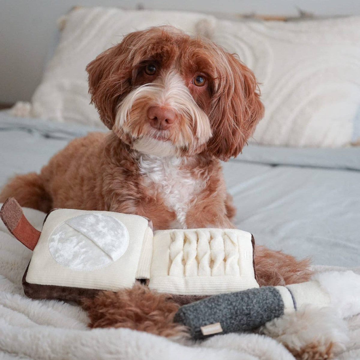 Gioco olfattivo per cani HIGHLIGHTER & BRUSH – Lambwolf Collective