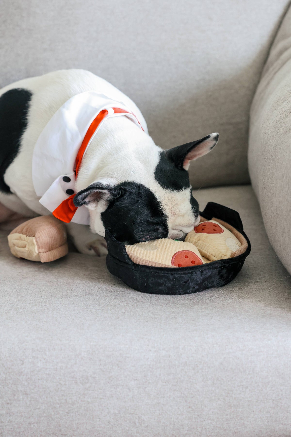 Hundespielzeug „Deep Dish Pizza“ zur Bereicherung