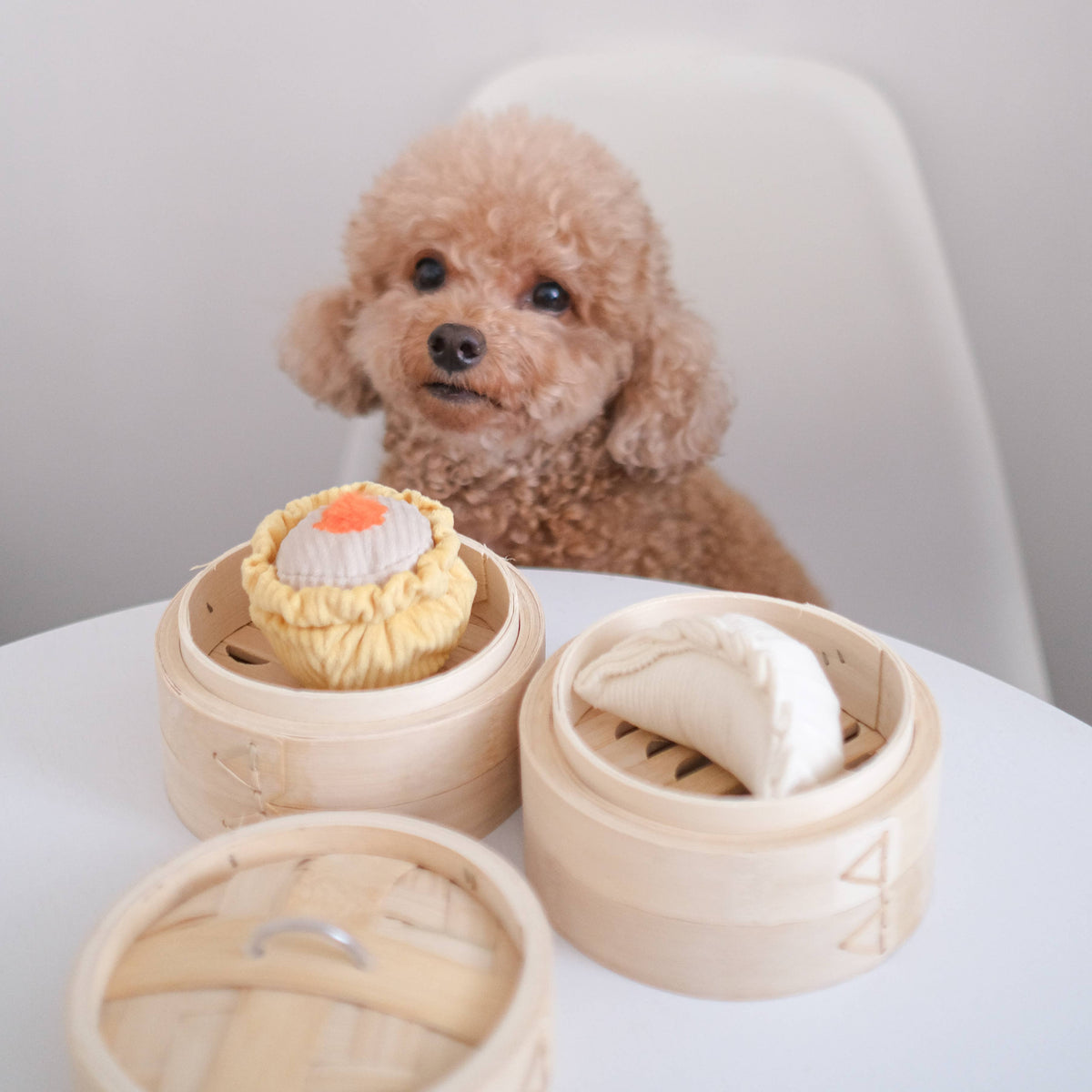 Gioco interattivo per cani DIM SUM POP – Lambwolf Collective