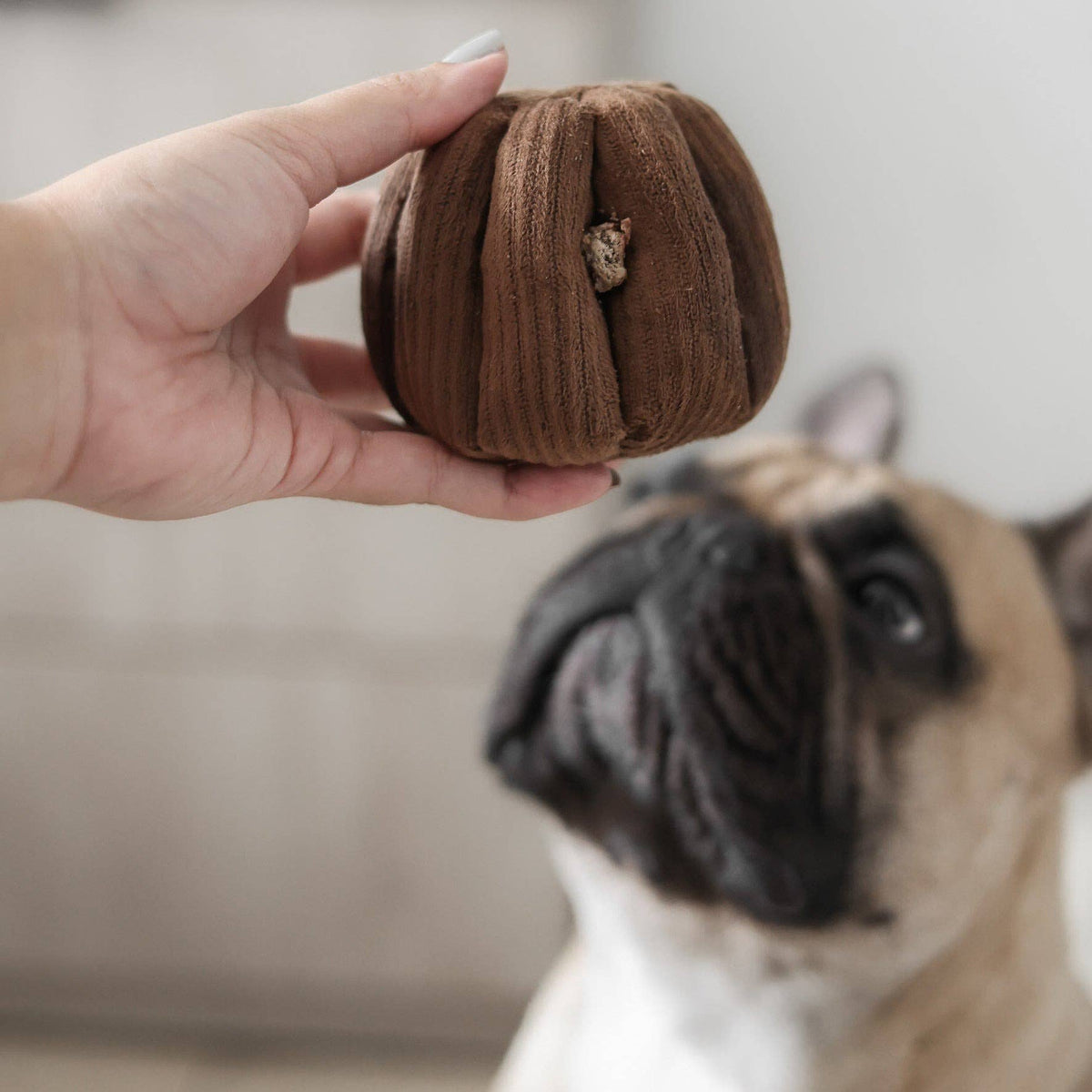 Gioco olfattivo con squeaker per cani CANELÉ – Lambwolf Collective
