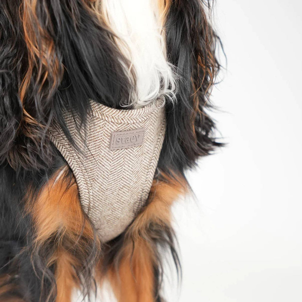 Hundegeschirr Step-In Saga | Mokka: M