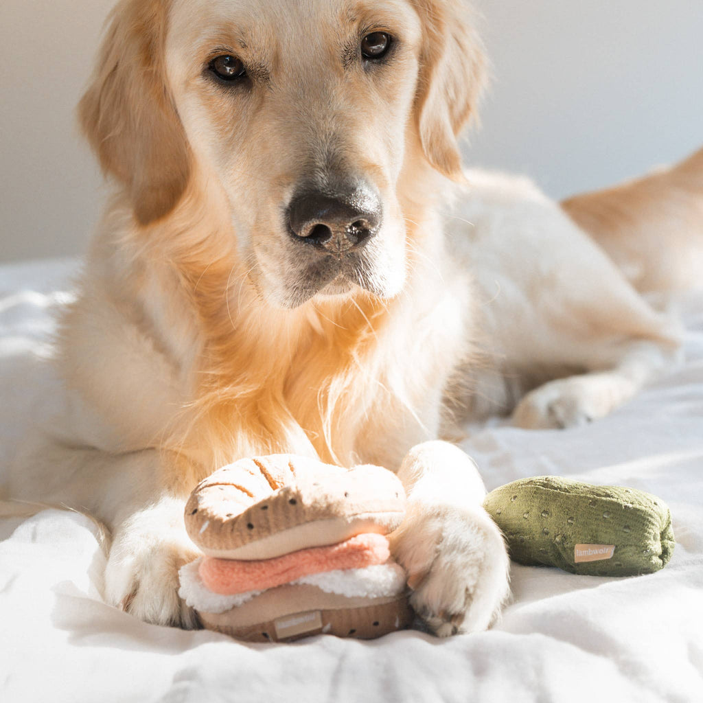 Set gioco per cani BAGEL & CUCUMBER – Lambwolf Collective