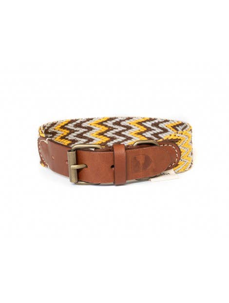 Collare Peruvian Gold – Buddys Dogwear