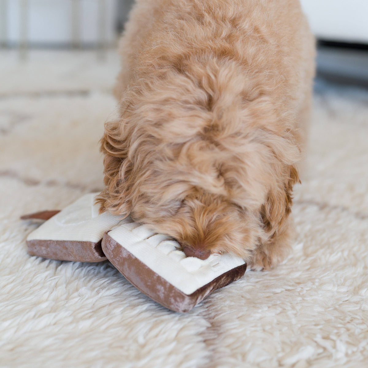 Gioco olfattivo per cani HIGHLIGHTER & BRUSH – Lambwolf Collective