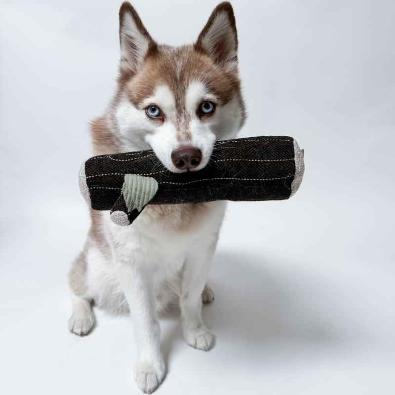 Gioco di arricchimento per cani FIREPLACE – Lambwolf Collective