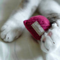 Gioco con erba gatta KITTY RADISH Beetroot – Lambwolf Collective