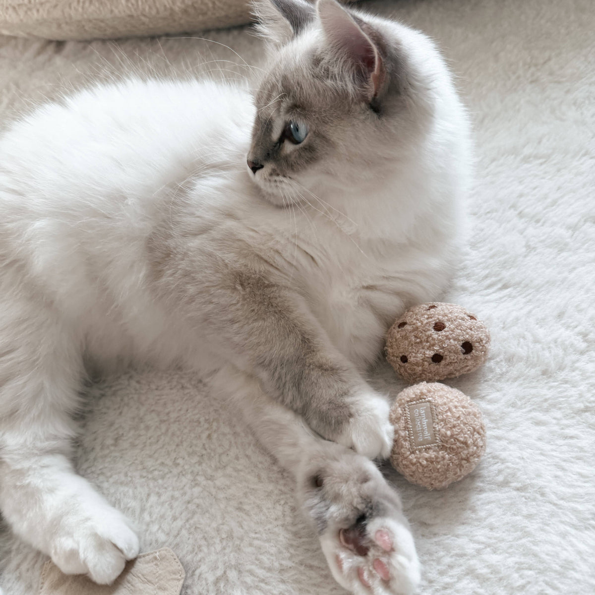 Gioco con erba gatta KITTY TEA TIME – Lambwolf Collective
