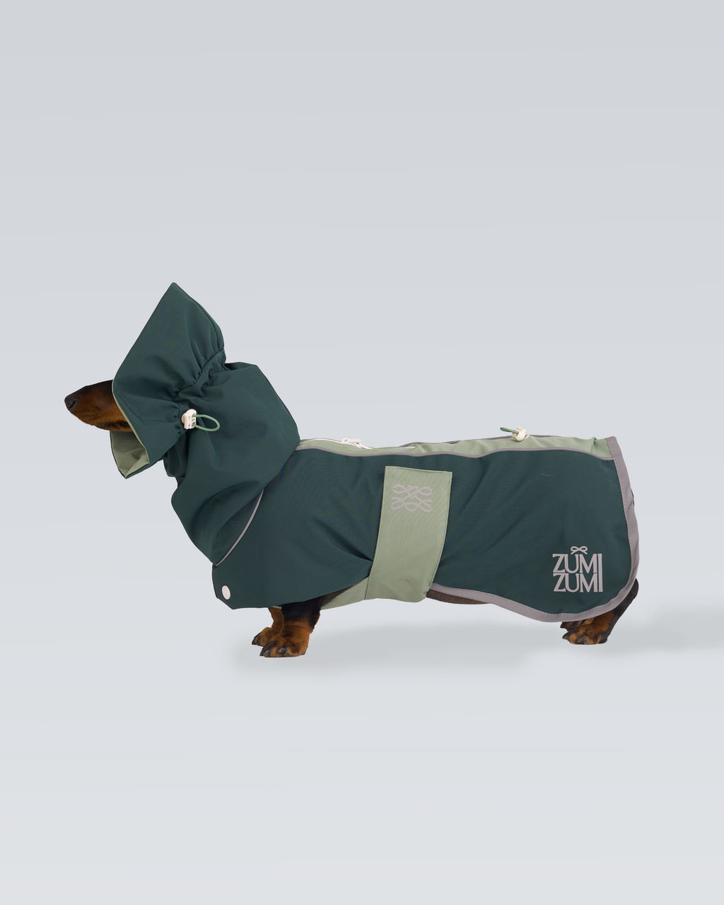 Regenjacke für Hunde Heath – Zumizumi