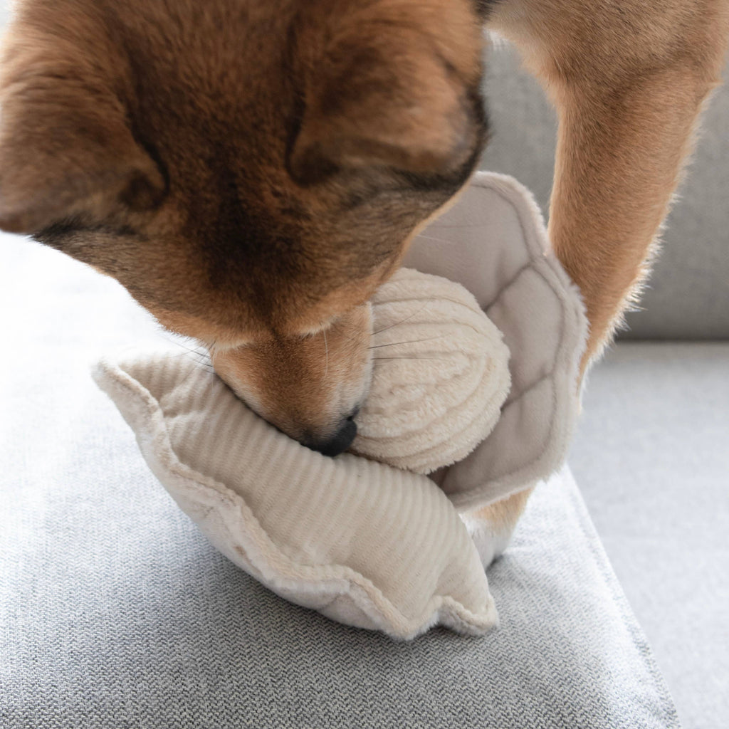 Gioco di arricchimento per cani OYSTER POP – Lambwolf Collective