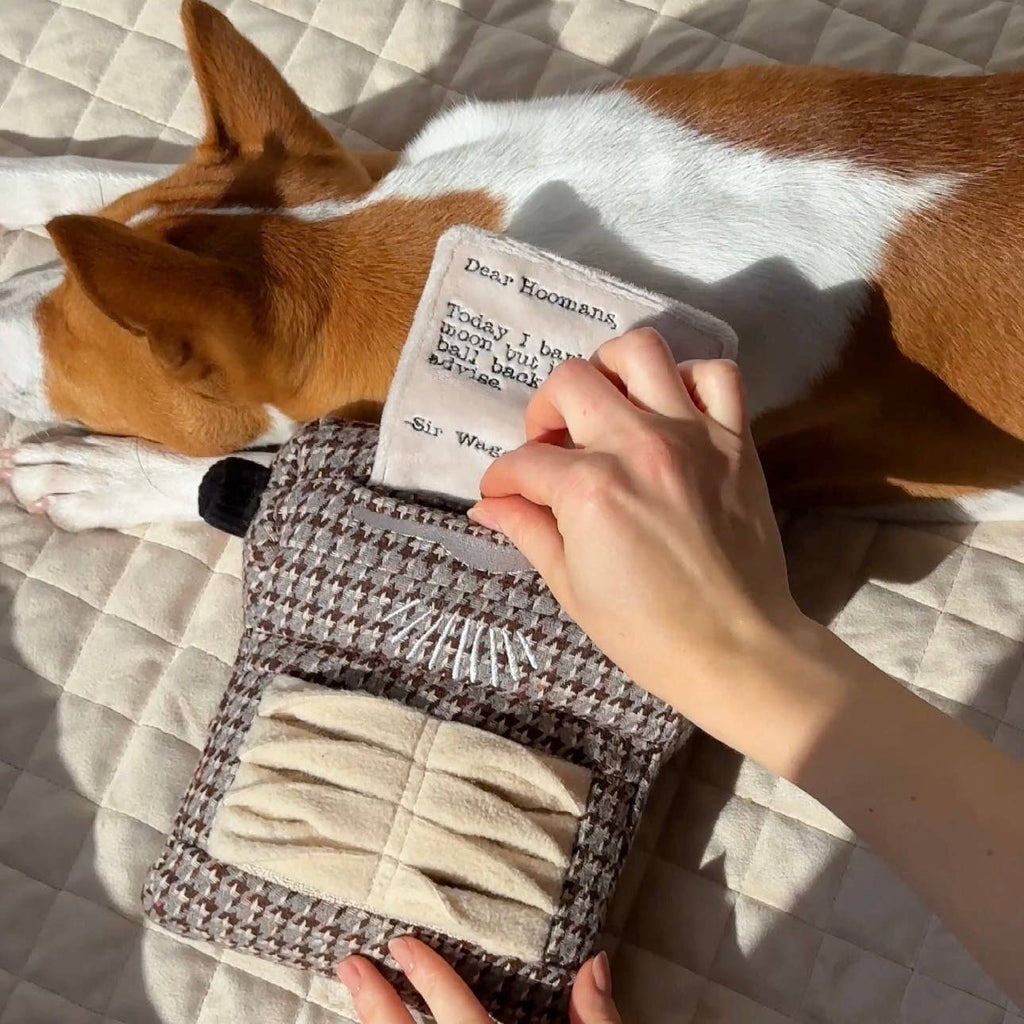 Gioco educativo per cani TYPEWRITER – Lambwolf Collective