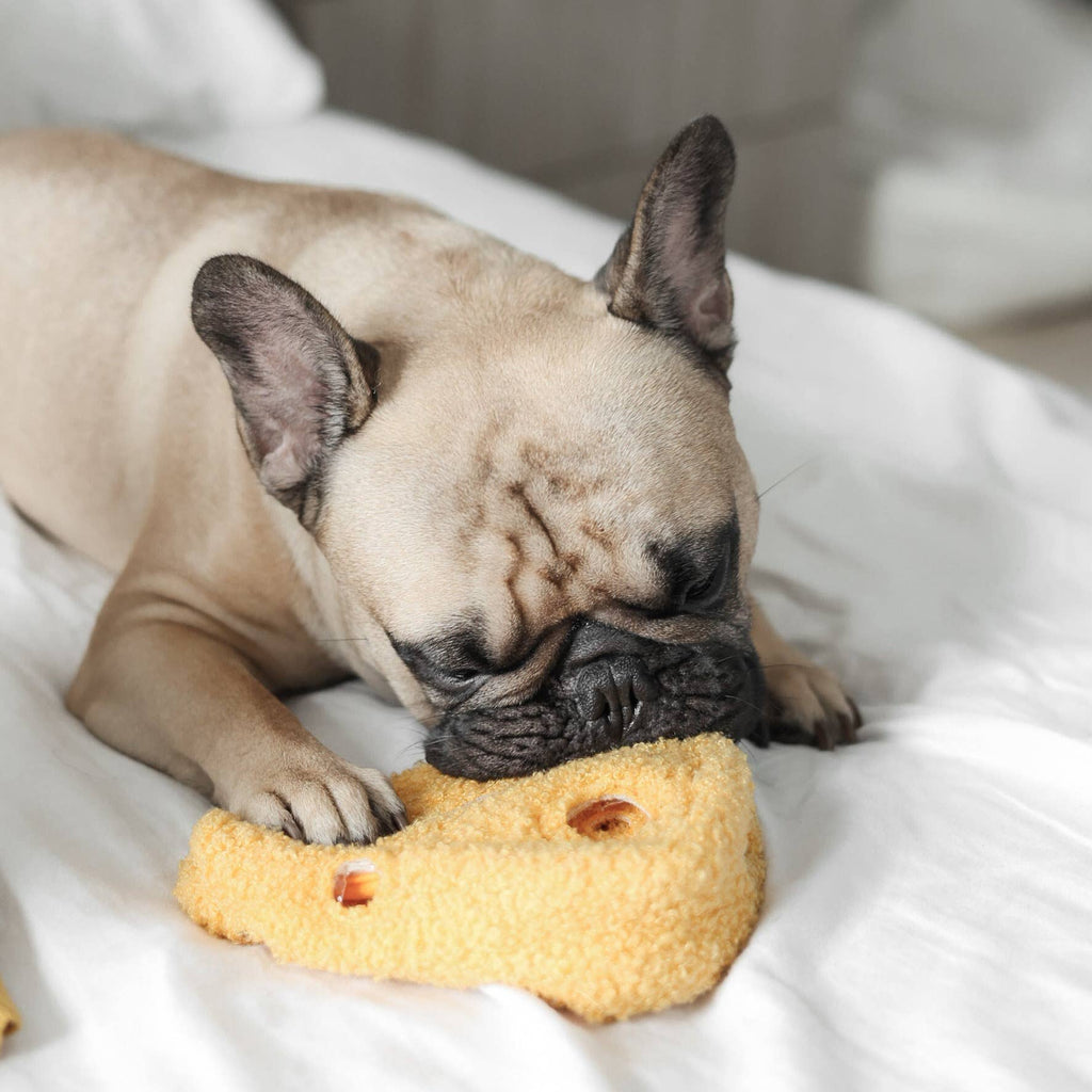 CHEESE //Enriching Toy