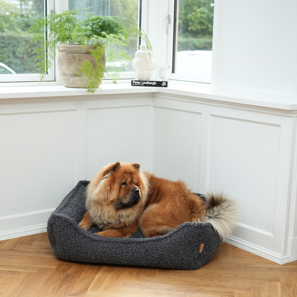 Tora Dog Bed by Staey | Storm Bouclé Fabric: Medium