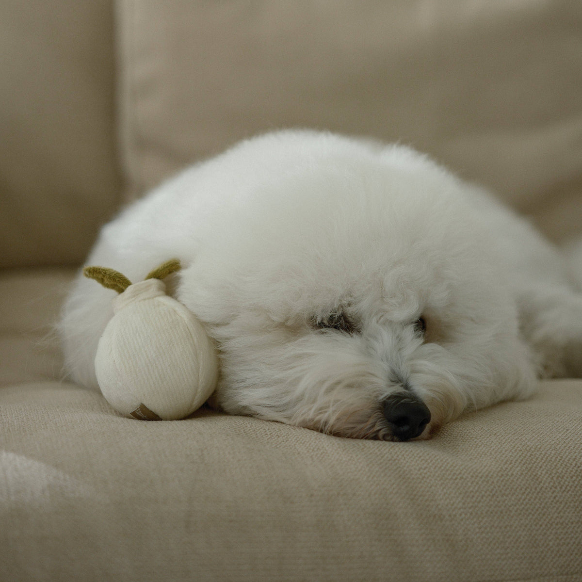 Gioco interattivo per cani GARLIC POP Mini – Lambwolf Collective