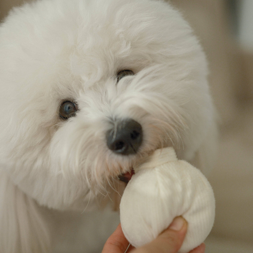 Gioco interattivo per cani GARLIC POP Mini – Lambwolf Collective