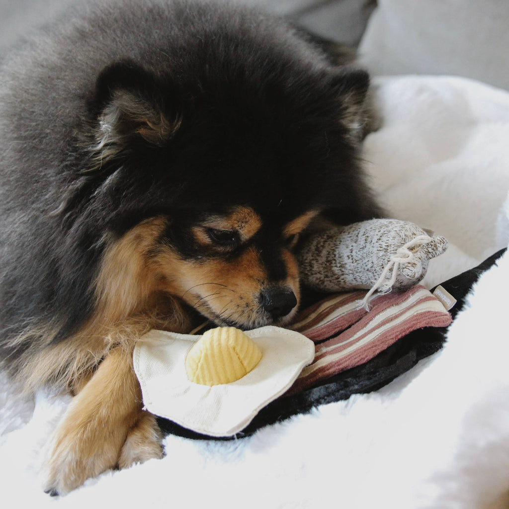 Bfast Set // ANREICHENDES HUNDESPIELZEUG