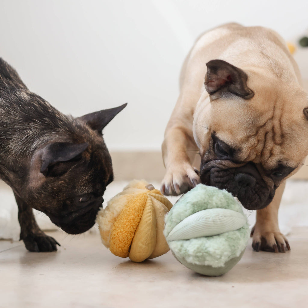 Beschäftigungsspielzeug für Hunde TOTO Small Grün – Lambwolf Collective