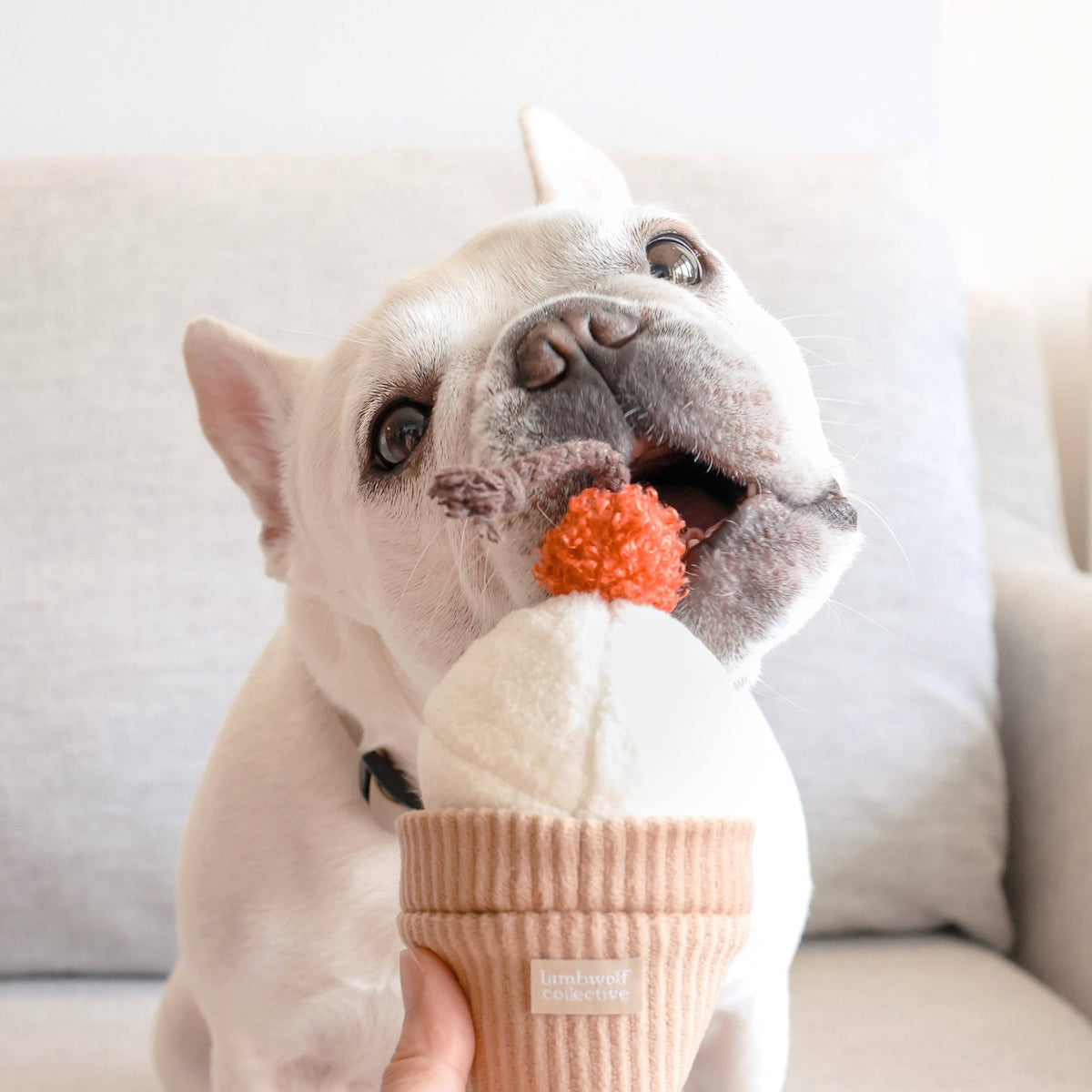 Gioco interattivo per cani ICE CREAM POP – Lambwolf Collective