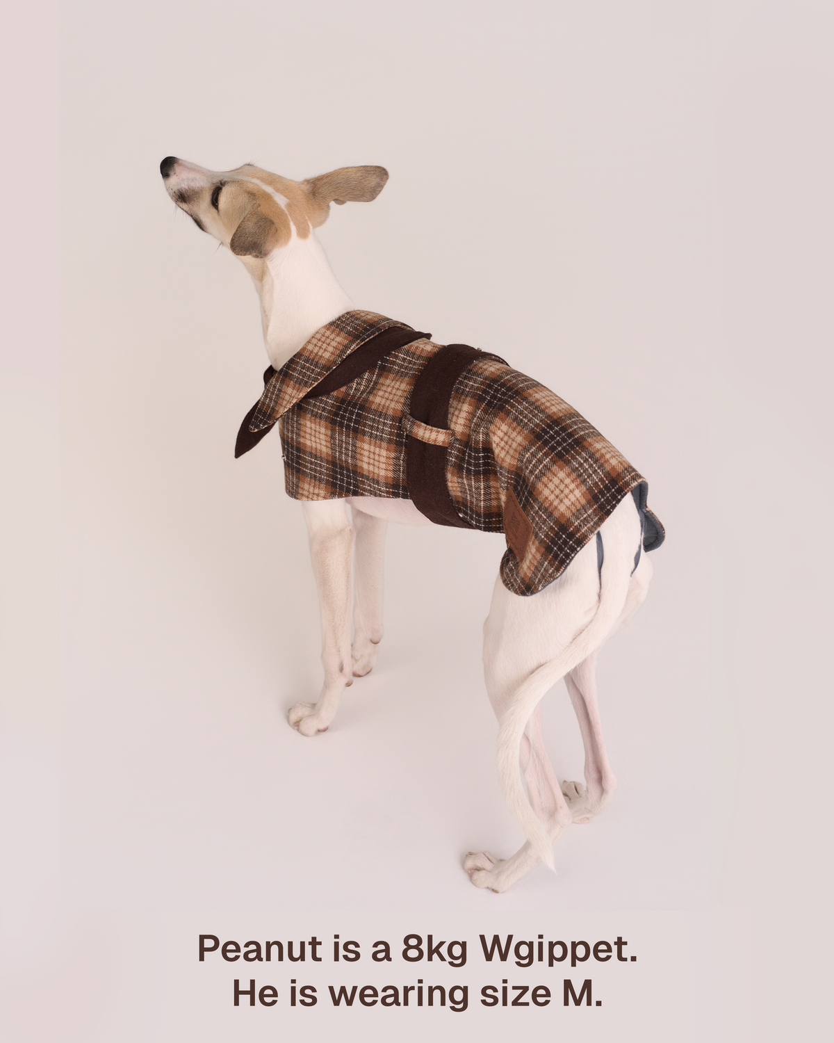 Sherlock Dog Cape