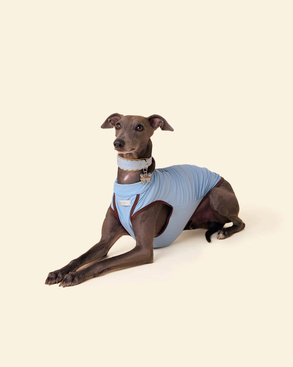 T-shirt Rinfrescante per Cani con Protezione Solare