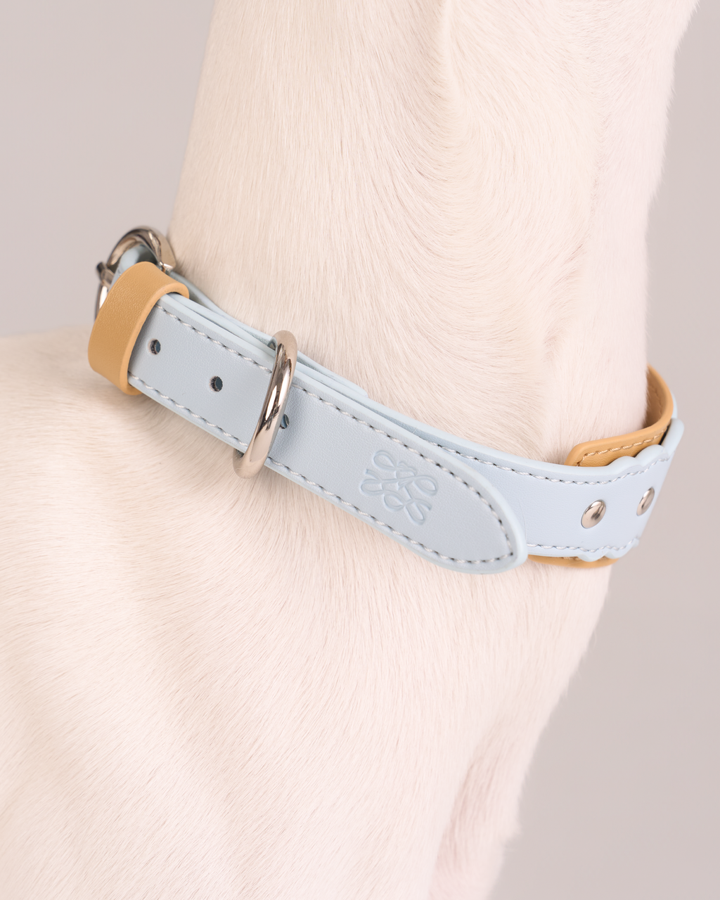 Lederhalsband Mayfair Scalloped – Zumizumi