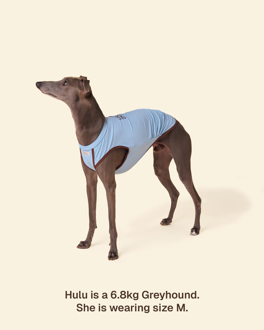 T-shirt Rinfrescante per Cani con Protezione Solare