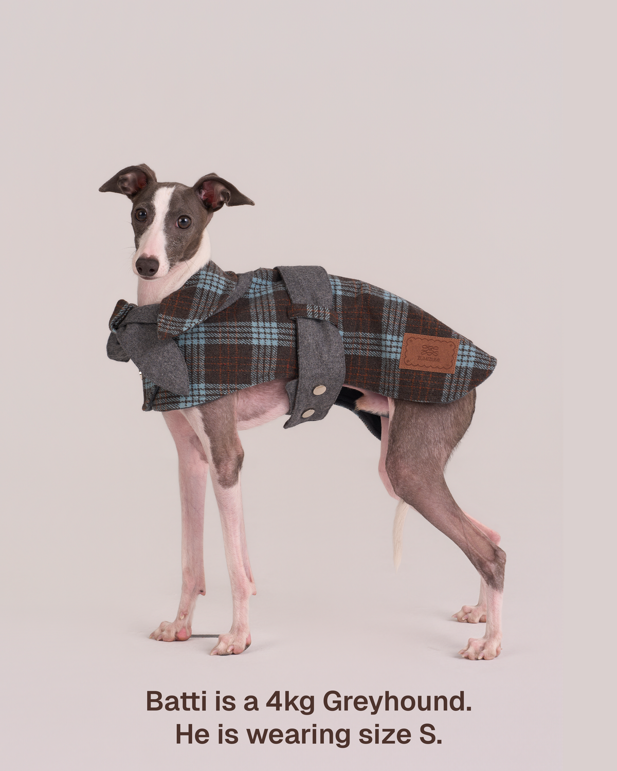 Sherlock Dog Cape
