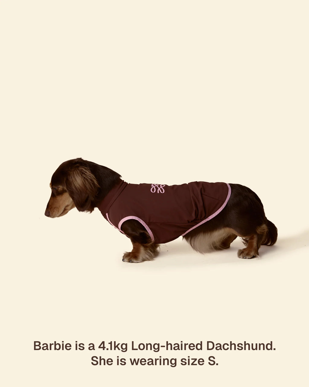 T-shirt Rinfrescante per Cani con Protezione Solare