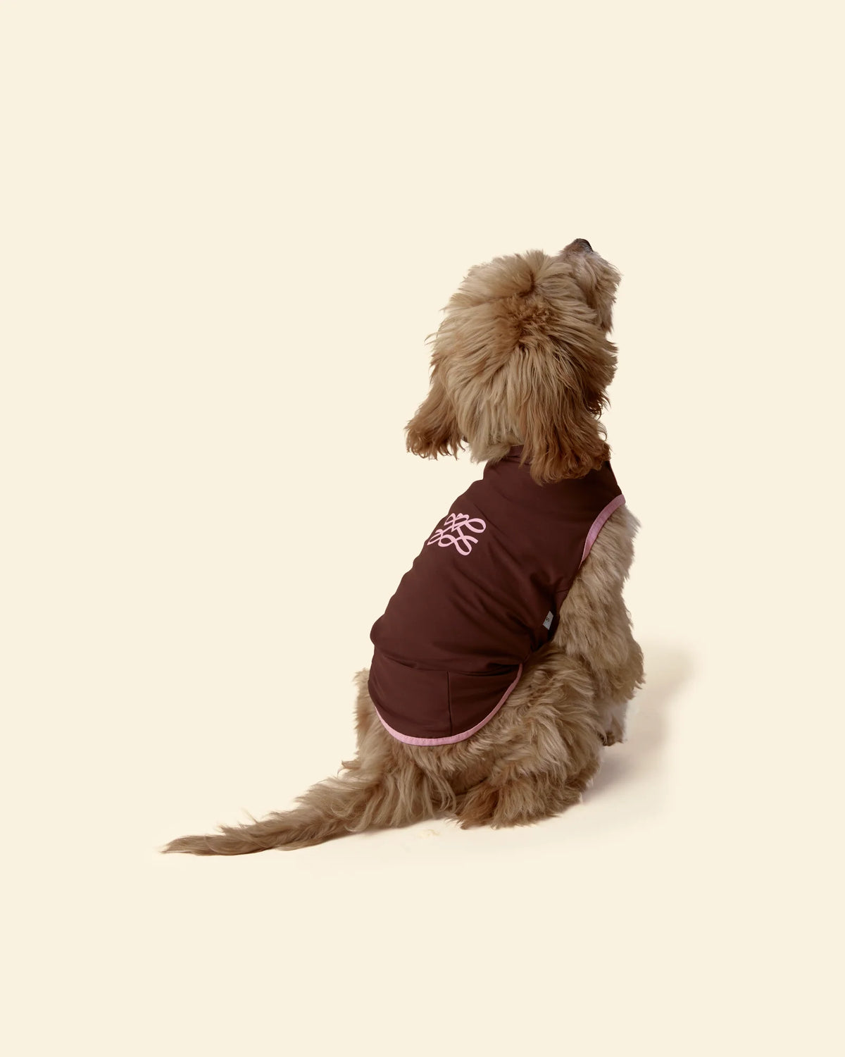 T-shirt Rinfrescante per Cani con Protezione Solare