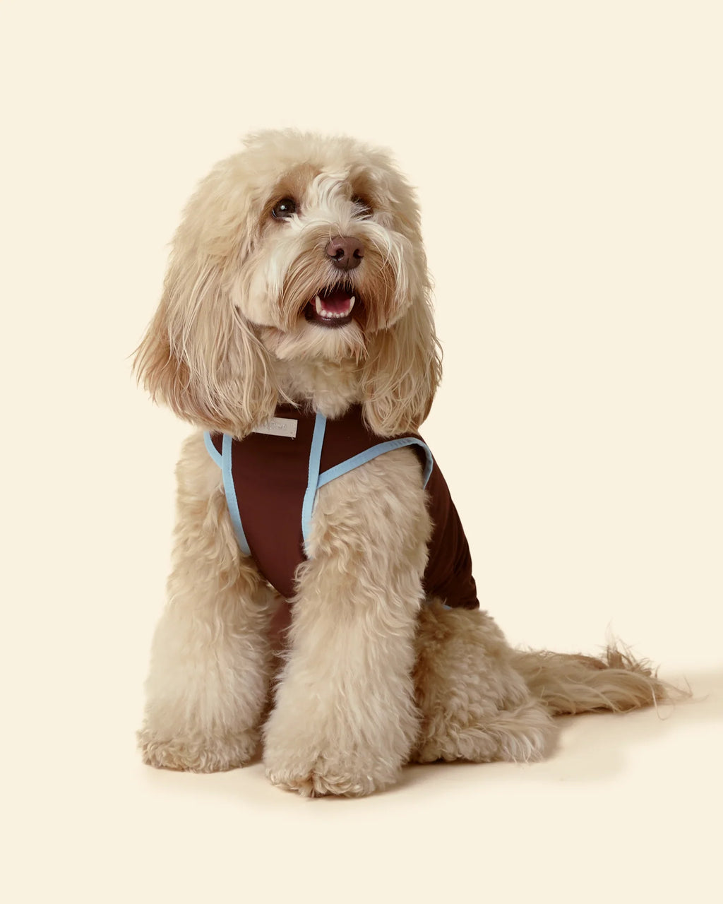 T-shirt Rinfrescante per Cani con Protezione Solare