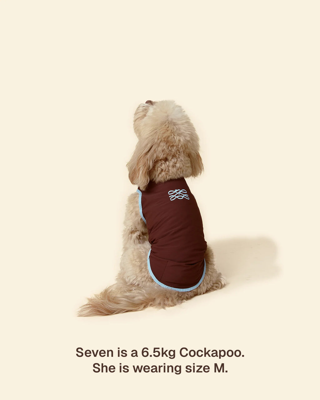 T-shirt Rinfrescante per Cani con Protezione Solare