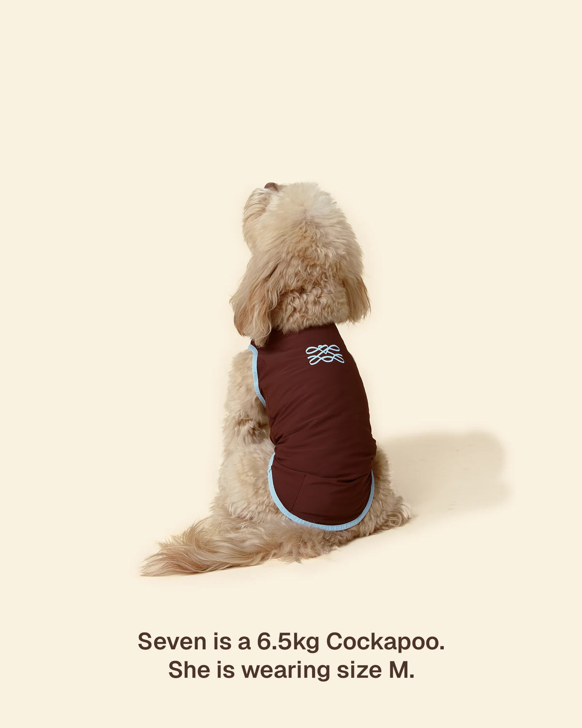 T-shirt Rinfrescante per Cani con Protezione Solare