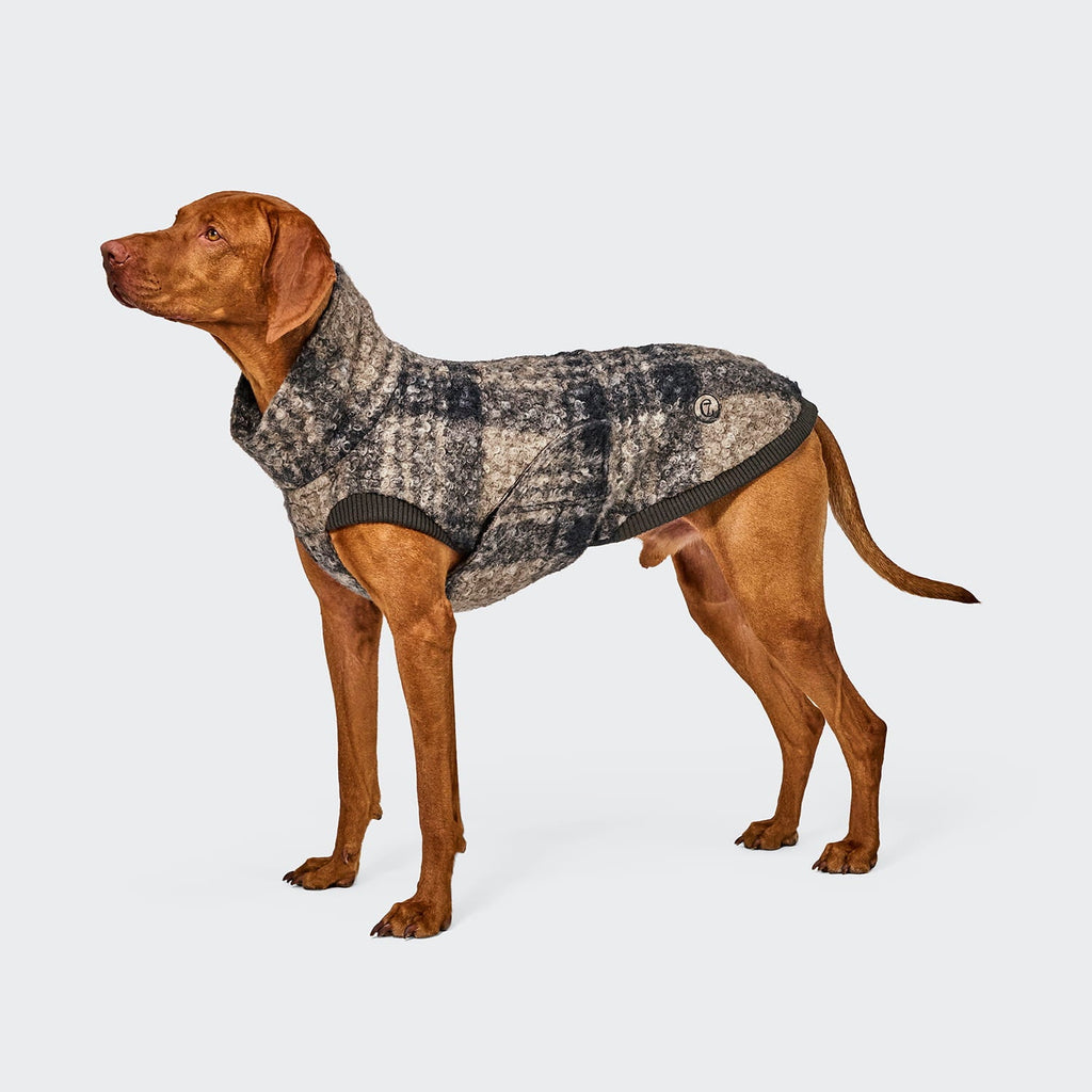 Maglione per cani Gotland Tartan – CLOUD7