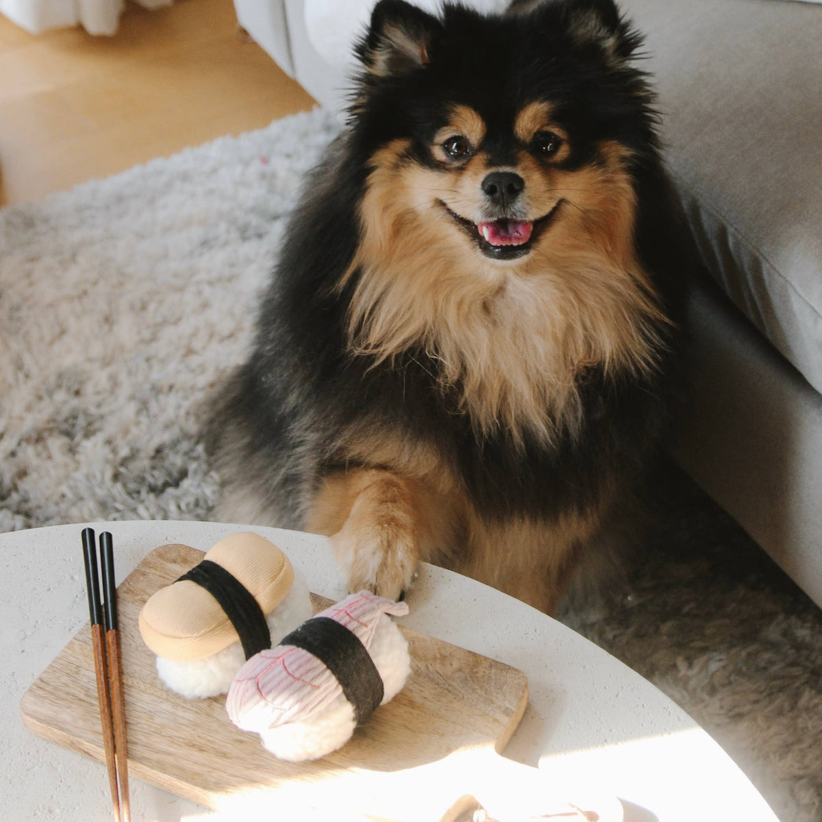 Gioco olfattivo con squeaker per cani SUSHI – Lambwolf Collective