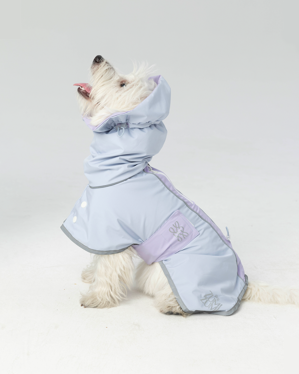 Regenjacke für Hunde Heath – Zumizumi