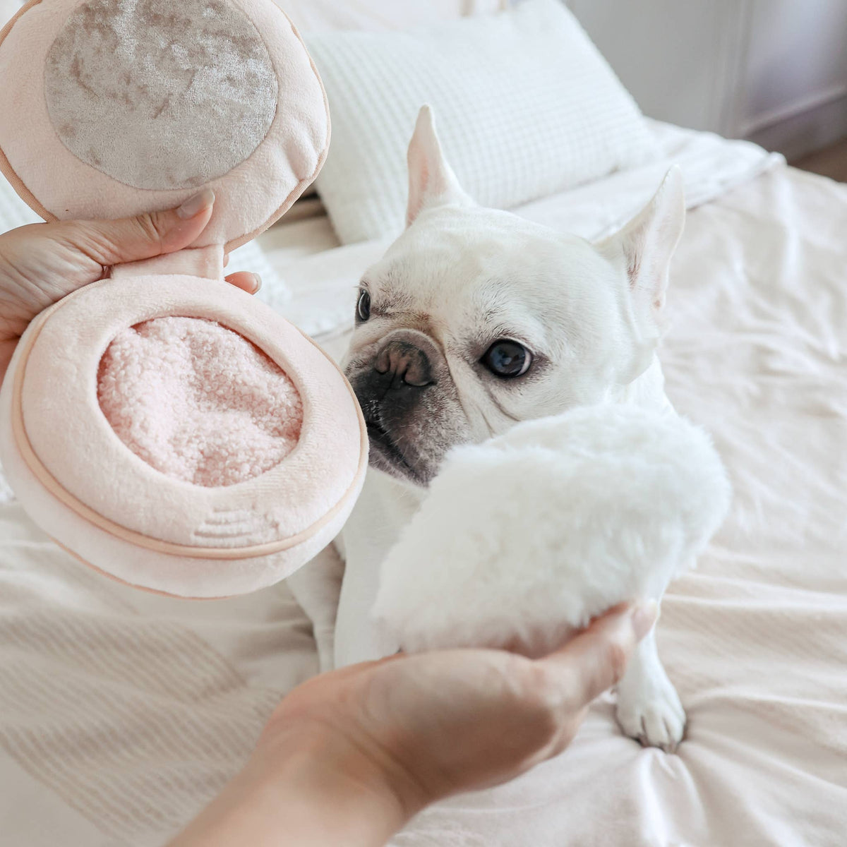 Gioco olfattivo per cani BLUSH – Lambwolf Collective