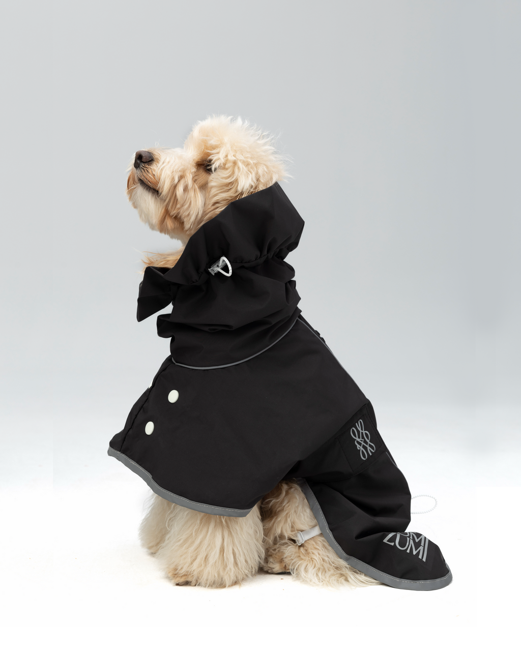 Regenjacke für Hunde Heath – Zumizumi