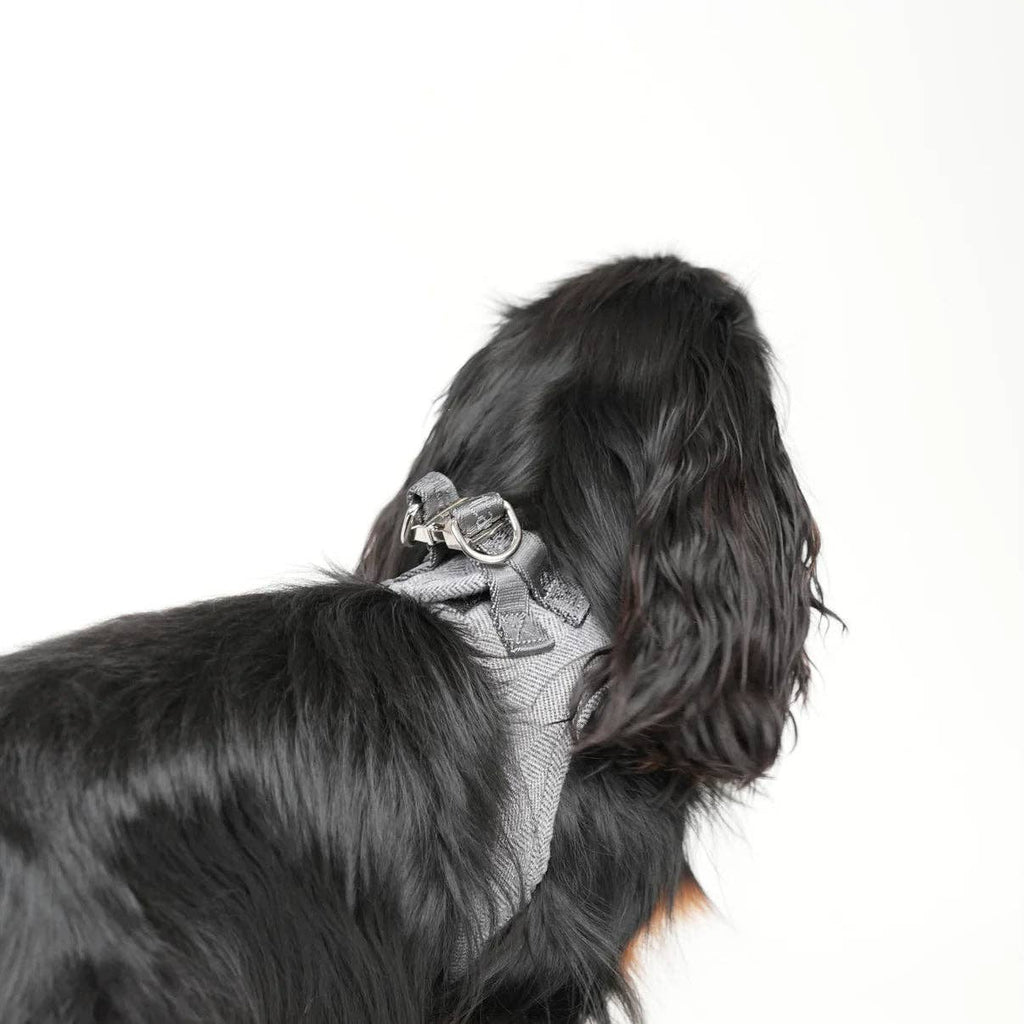Step-In Hundegeschirr Saga | Dust Blue: M