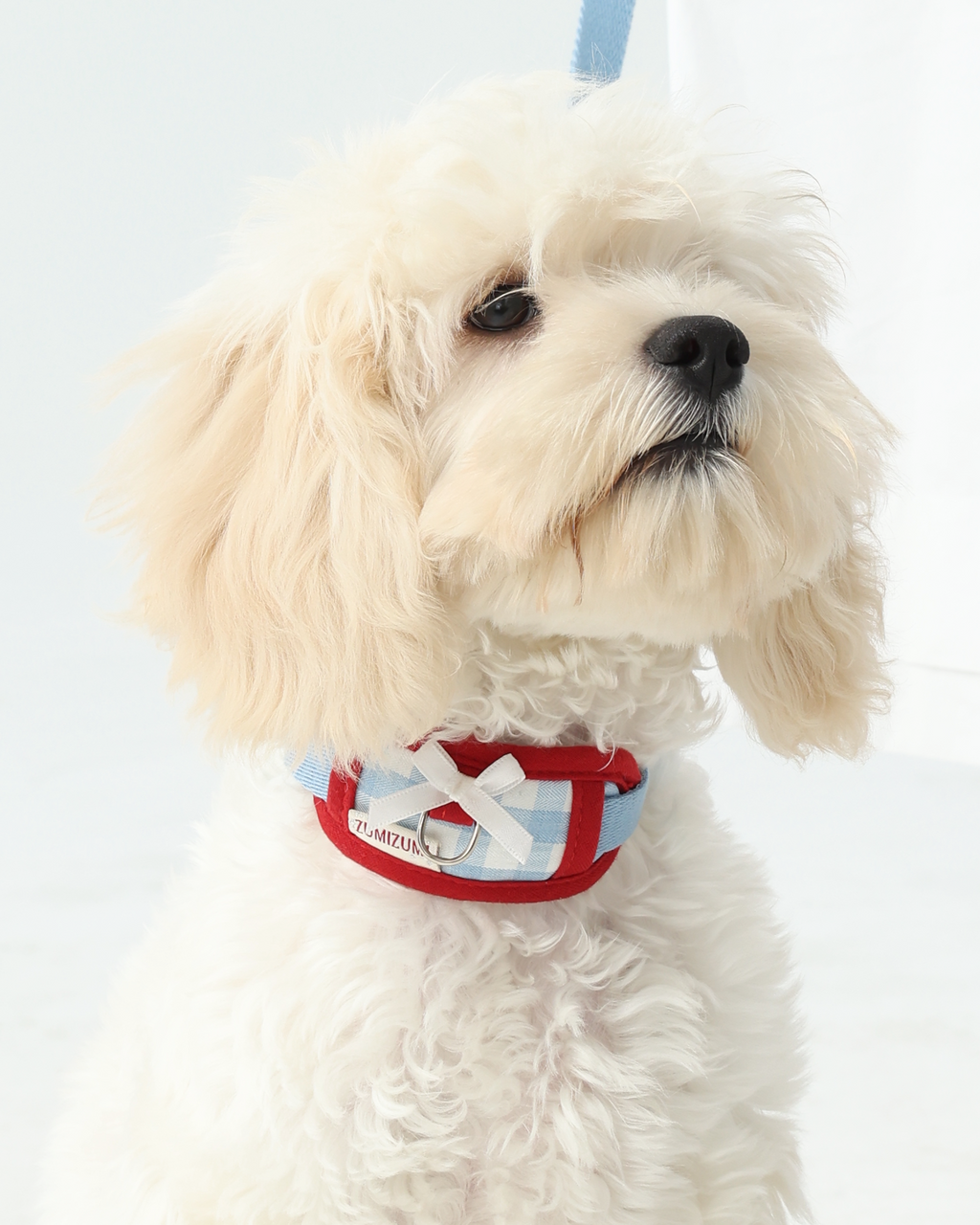 Halsband Chelsea Everyday Blau/Rot – Zumizumi